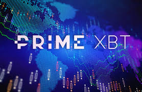 Understanding Accounts PrimeXBT Forex Your Gateway to Trading Success Understanding Accounts PrimeXBT Forex Your Gateway to Trading Success